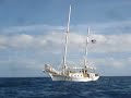 Sailing in Oahu Sailing in Oahu