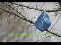 Environmental Impact of Plastic Bags & Plastic Polution