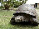 Manu and Esmeralda in Bird Island-Seychelles