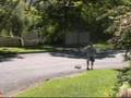 rocket car rc radio controlled