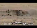 rip-curl-pro-search.html