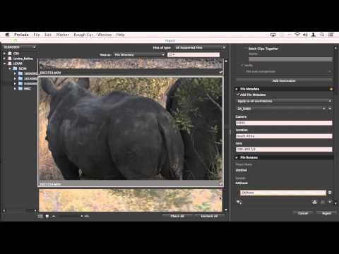 DSLR Editing Workflow in Adobe Premiere Pro CC, Part 2: From the Camera to Adobe Prelude CC