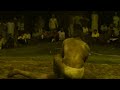 M4H03502.MP4