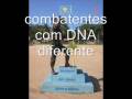 videos de PQD com orgulho