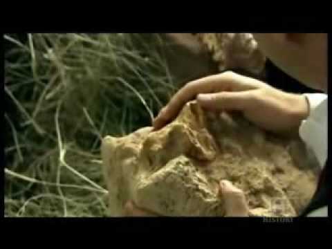 History Channel - Ape to Man (Part 5)
