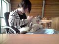 videos de Me Petting My Cat: Episode 4