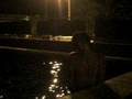 videos de libellule