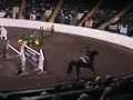 Karen Cudmore and Ocelot
