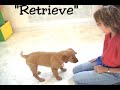 Puppy training