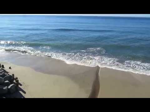 Video for Miramar Beach