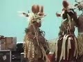 Traditional dance of Papua New Guinea