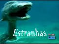 TV ET - Pr�via