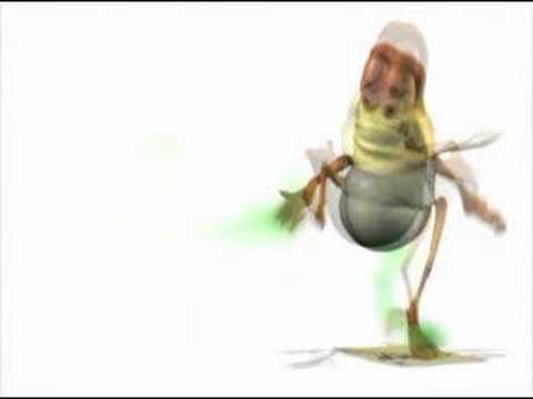 Floyd Fruit Fly