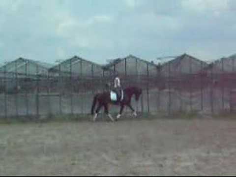 wet look (rhodium x zeoliet) @ training
