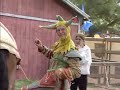 Jester