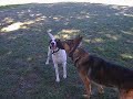 Duke & Keno