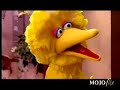 Sesame Street Martin Scorsese Film