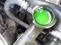Primera eGT Tapón del radiador II