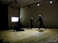 Unbroken View - Rosemary Butcher - 1995