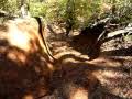 Russell climbing the left line on Chili Bowl at Shiloh Ridge