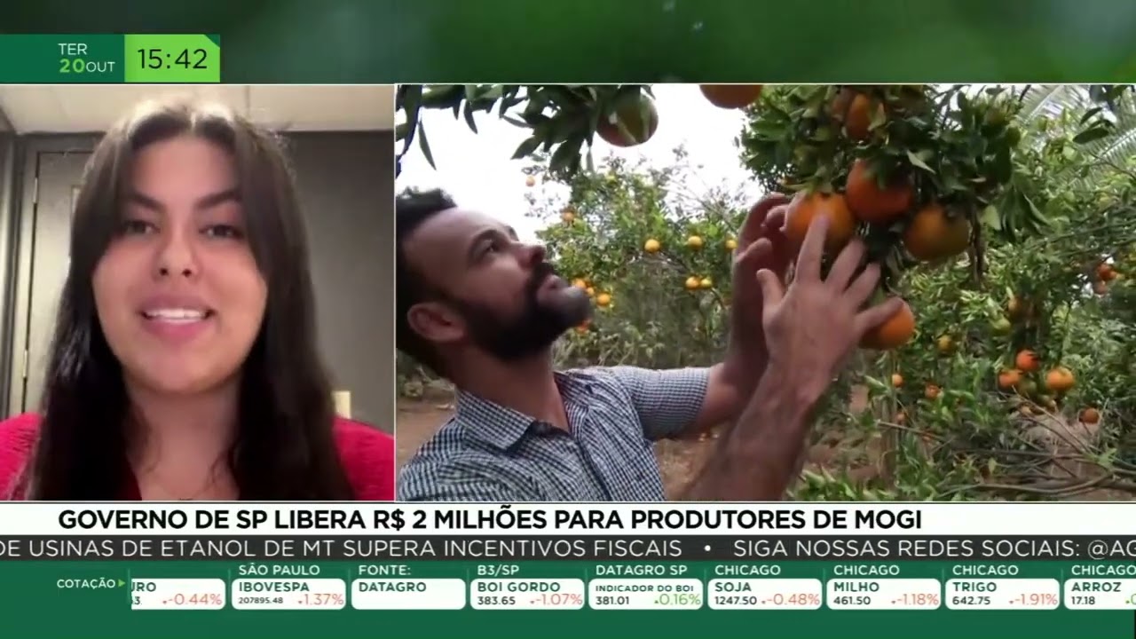 Jornal Agromais- 20/10/2026