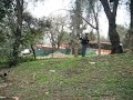 despedida pituca con gaitero