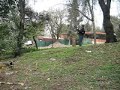despedida pituca con gaitero