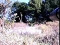 clip video P.B.C. Back In The Day