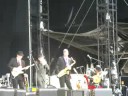 Leonard Cohen - Bird on a wire - live
