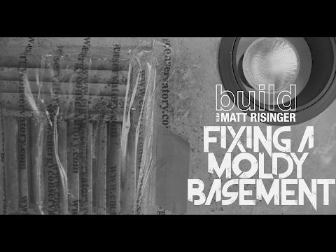 video-linktoworks-How to Stop Mold from Growing In Your House