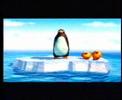 Penguins Penguins
