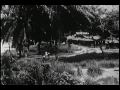  - MovieZen Video