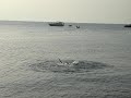 skiathos-baywatch.html