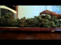 Curing 101
