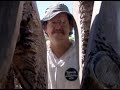 HECTOR WELSCHEN-ESCULTURAS