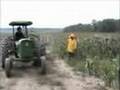 Genetically engineered and conventional sweet corn -- 2001 o
