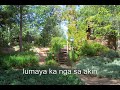 pudgy videoke