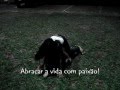 videos de Dá pra escolher