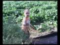 videos de san marzano sul sarno fiore.AVI