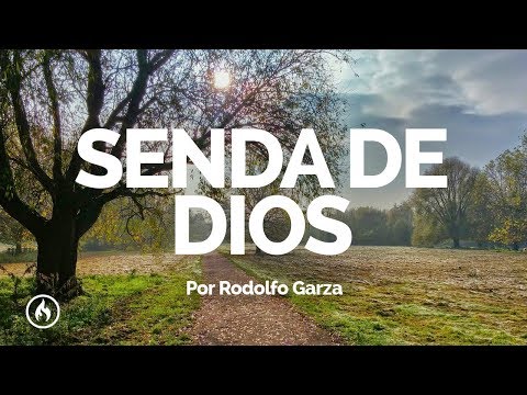 Ver video