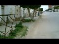 Retour à Regueb