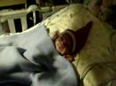 Izaiah 12-24-07