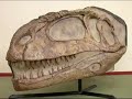 Tribute to Argentinean Dinosaurs