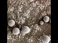 Opportunity Microscopic Imager in True Colors Lunar Explorer Opportunity Microscopic Imager in True Colors Lunar Explorer