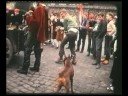 Brielle 1april 1968 deel 2 door Joop S. Rack�