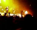 babyshambles - the blinding