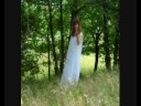 Fairy Fairy