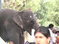 Pondicherry boogie