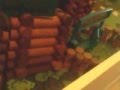fort defence