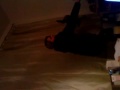 kp 012.MP4